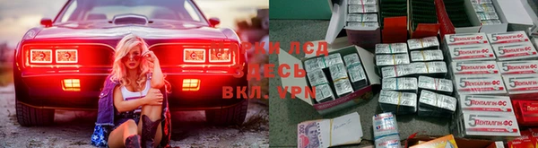 эйфоретик Осинники