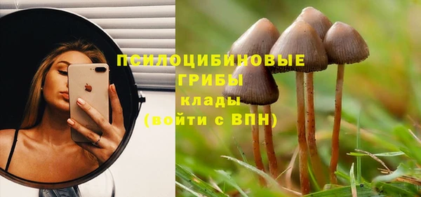 эйфоретик Осинники
