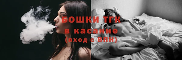 эйфоретик Осинники
