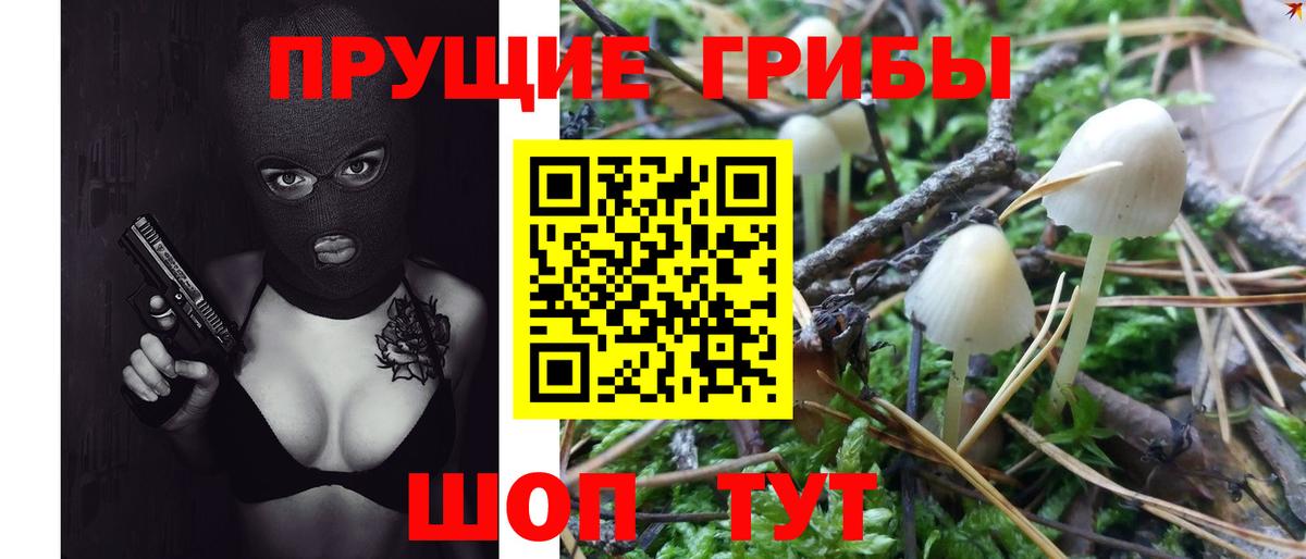 Галлюциногенные грибы Psilocybine cubensis Старая Русса