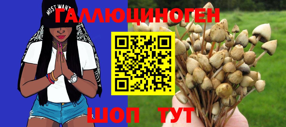 ГАШИШ Старая Русса