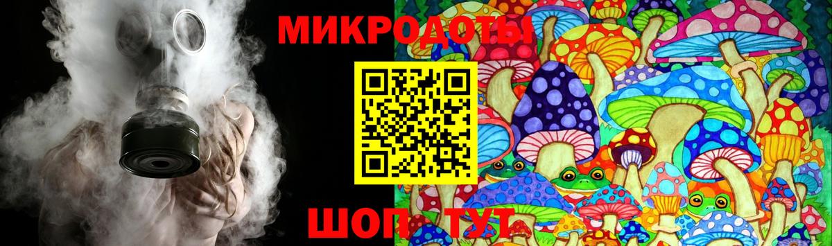 наркотики  Старая Русса  Псилоцибиновые грибы Magic Shrooms 